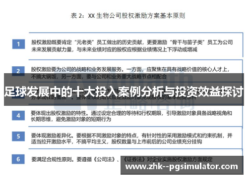 足球发展中的十大投入案例分析与投资效益探讨