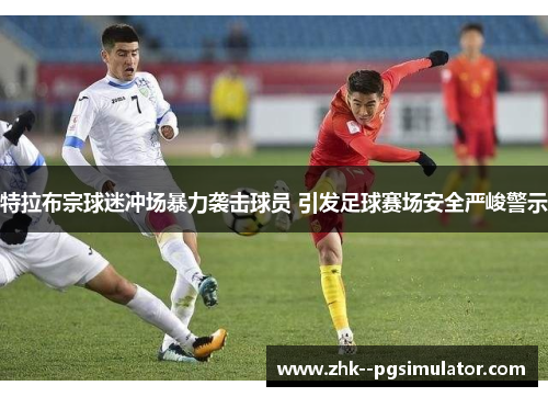 特拉布宗球迷冲场暴力袭击球员 引发足球赛场安全严峻警示