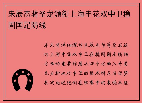 朱辰杰蒋圣龙领衔上海申花双中卫稳固国足防线
