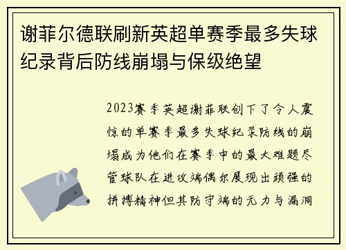 谢菲尔德联刷新英超单赛季最多失球纪录背后防线崩塌与保级绝望
